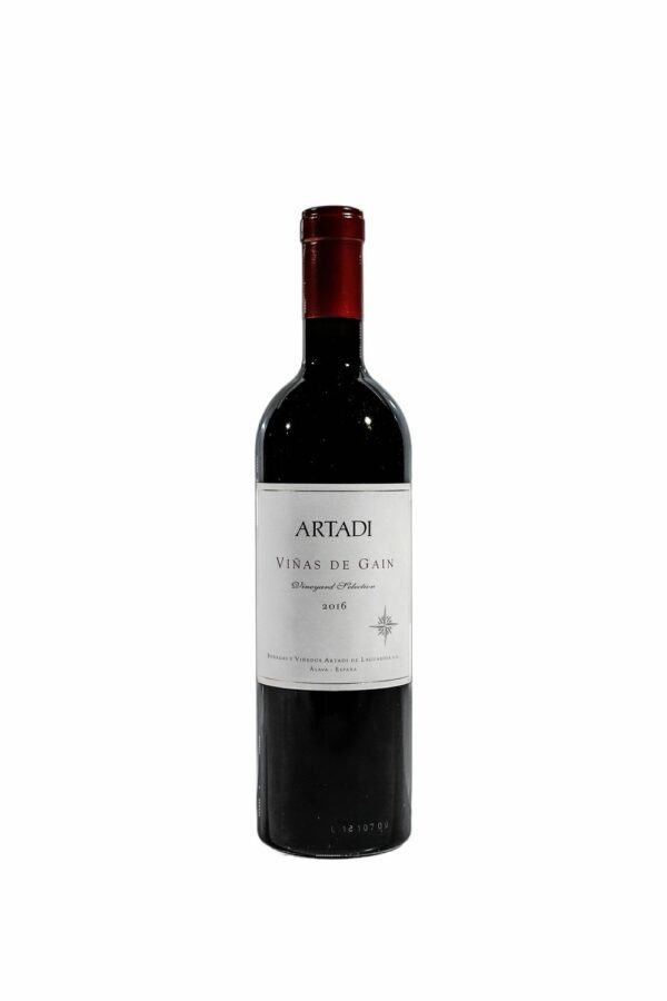 Vinas de Gain Tinto Spanischer Rotwein BIO (DE-ÖKO-001)